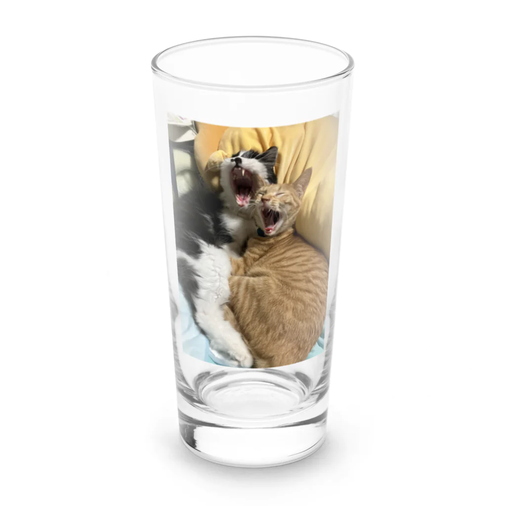 ayamomohidemiのキュートな猫猫あくび Long Sized Water Glass :front