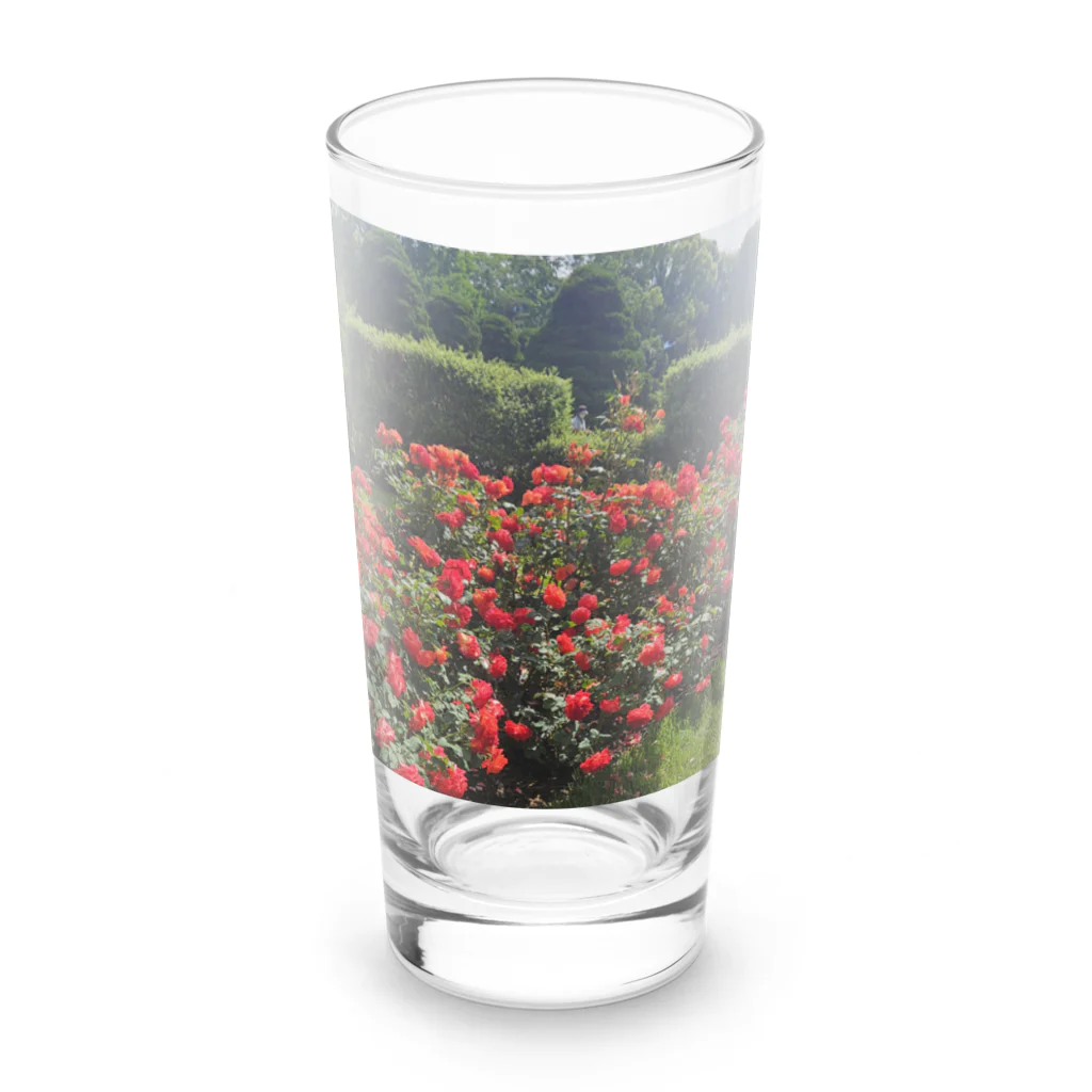A.santeの薔薇が咲いたよ Long Sized Water Glass :front