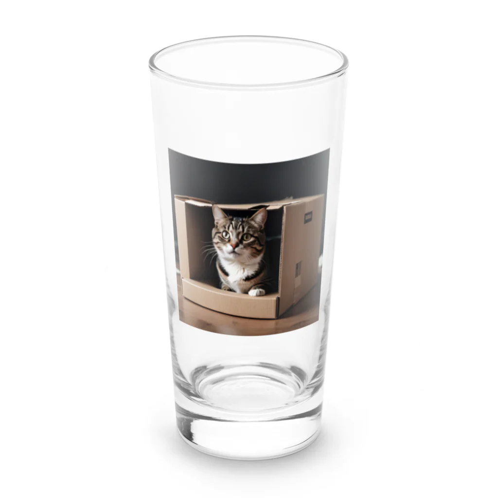 jaguar3のダンボール猫 Long Sized Water Glass :front