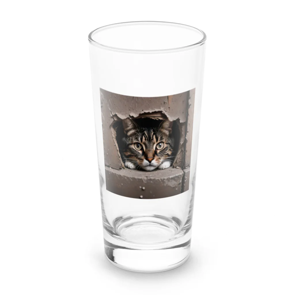 jaguar3の隙間からこんにちは猫 Long Sized Water Glass :front