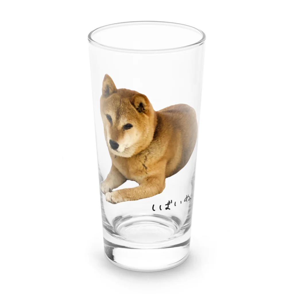 柴犬しばわんこhana873の伏せ？してる柴犬さん Long Sized Water Glass :front