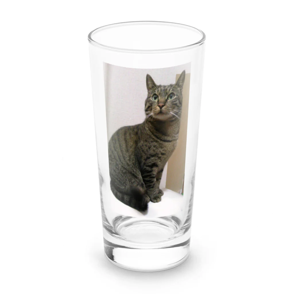 ポチオのトイレの上のポチオ Long Sized Water Glass :front