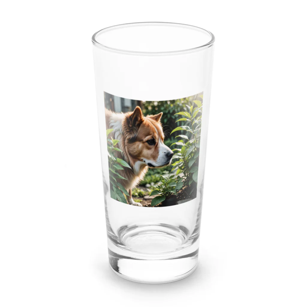 neeeeeeの草と犬 Long Sized Water Glass :front