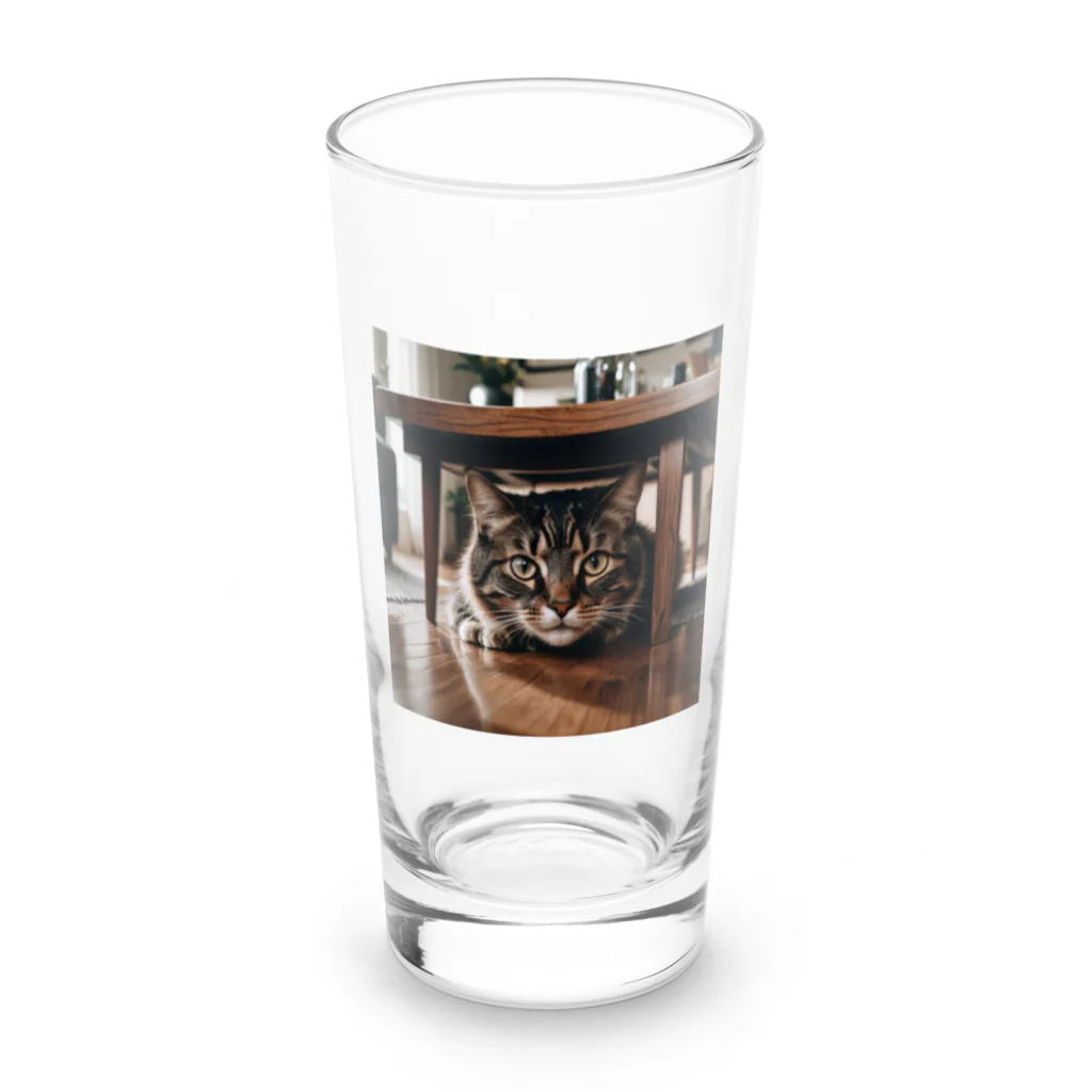 zigerparkの隠れる猫 Long Sized Water Glass :front