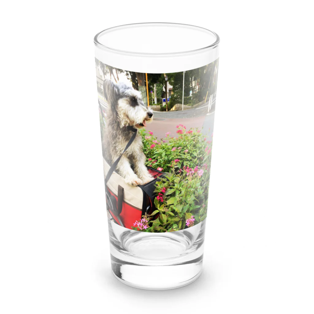 RIKI&MIKIのトランプくん Long Sized Water Glass :front