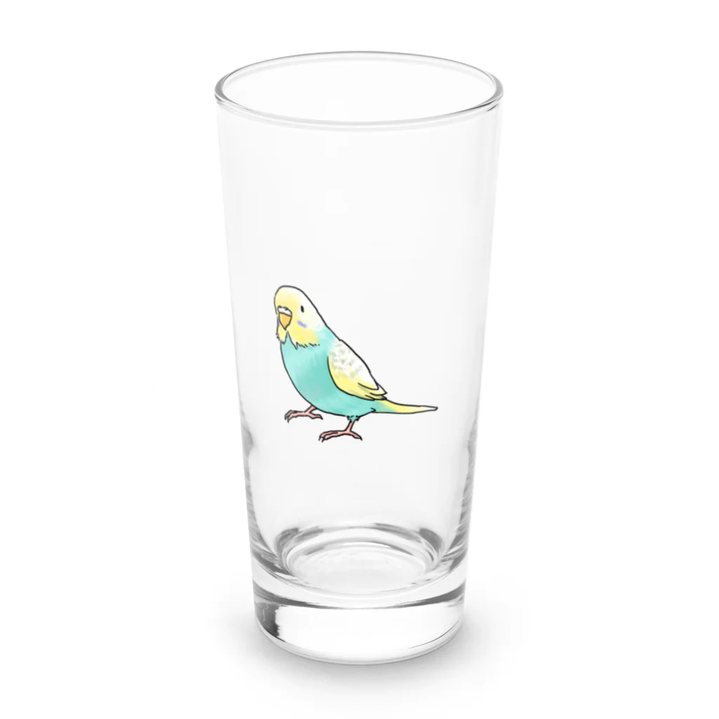 まめるりはことりのごきげんセキセイインコ【まめるりはことり】 Long Sized Water Glass :front