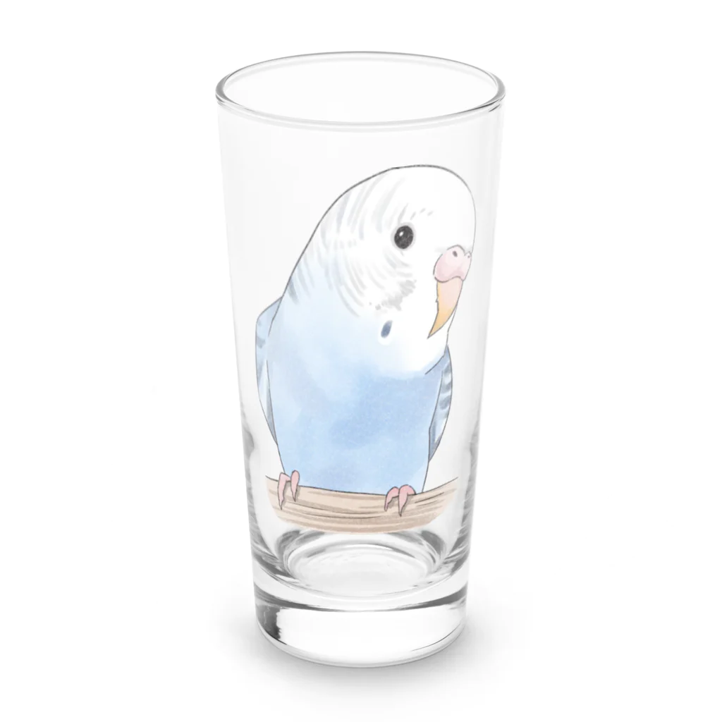 まめるりはことりのおしゃまな止まり木セキセイインコちゃん【まめるりはことり】 Long Sized Water Glass :front