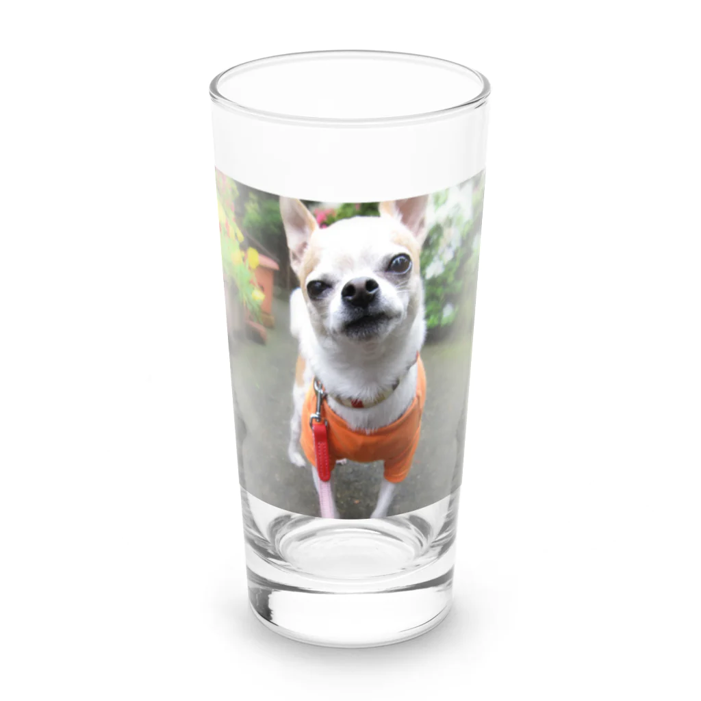 akane_art（茜音工房）のカラフルチワワ（フラワー） Long Sized Water Glass :front