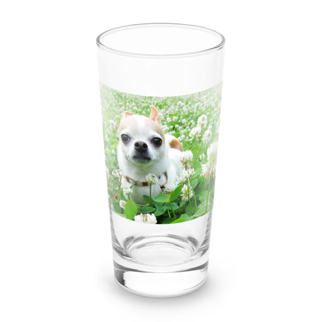 akane_art（茜音工房）のカラフルチワワ（クローバー） Long Sized Water Glass :front