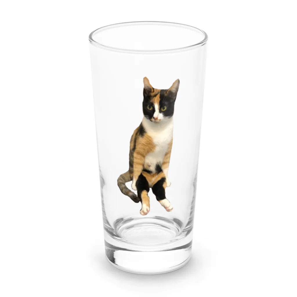 AtelierGluckのみーたん Long Sized Water Glass :front