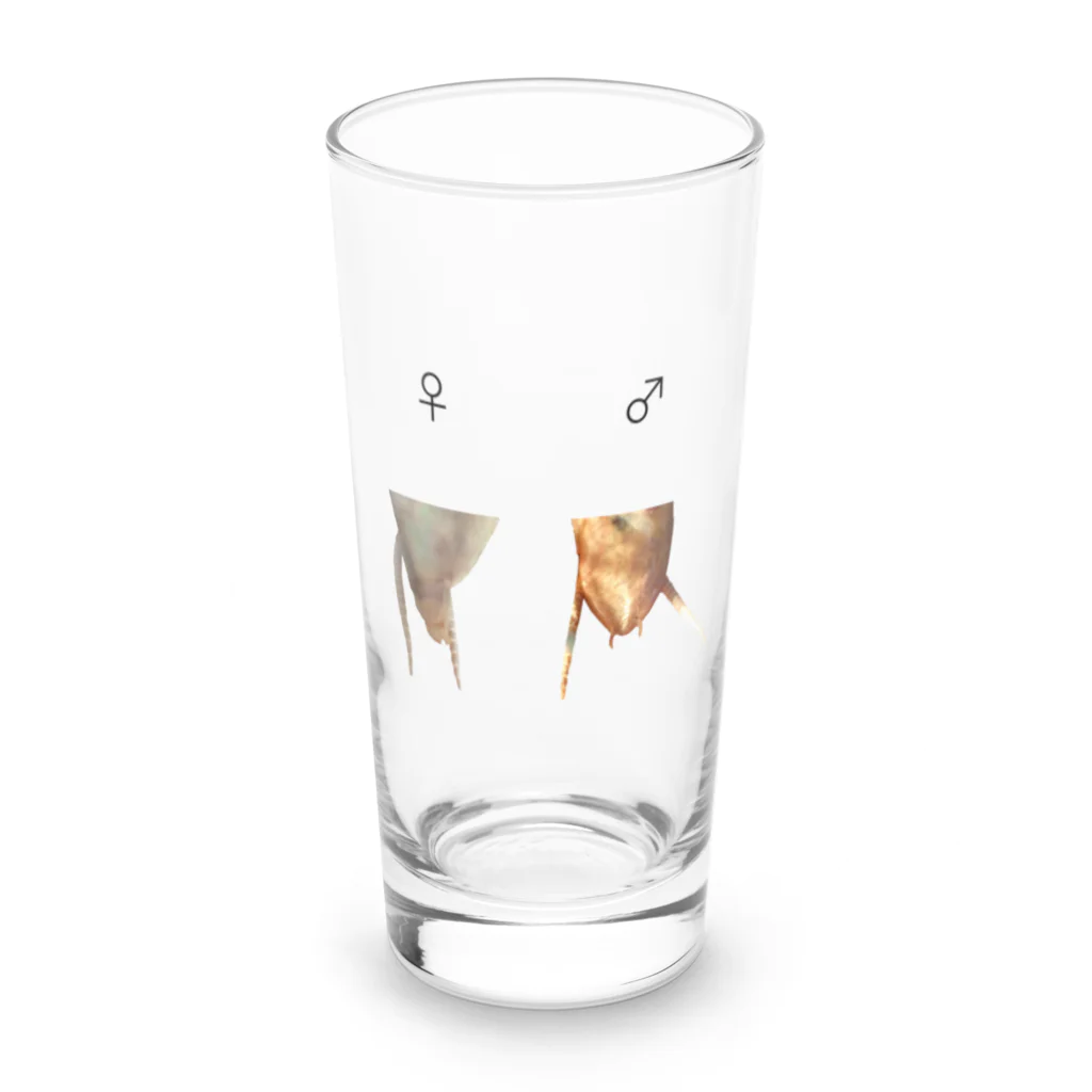 L_arctoaのカマキリの雌雄（背景透過ver） Long Sized Water Glass :front