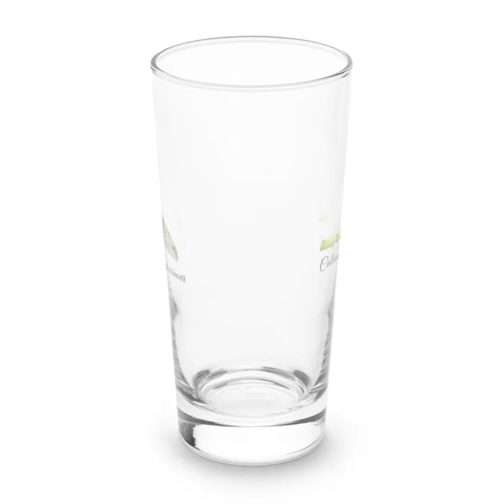 L_arctoaのウンモンスズメ幼虫と成虫 Long Sized Water Glass :front