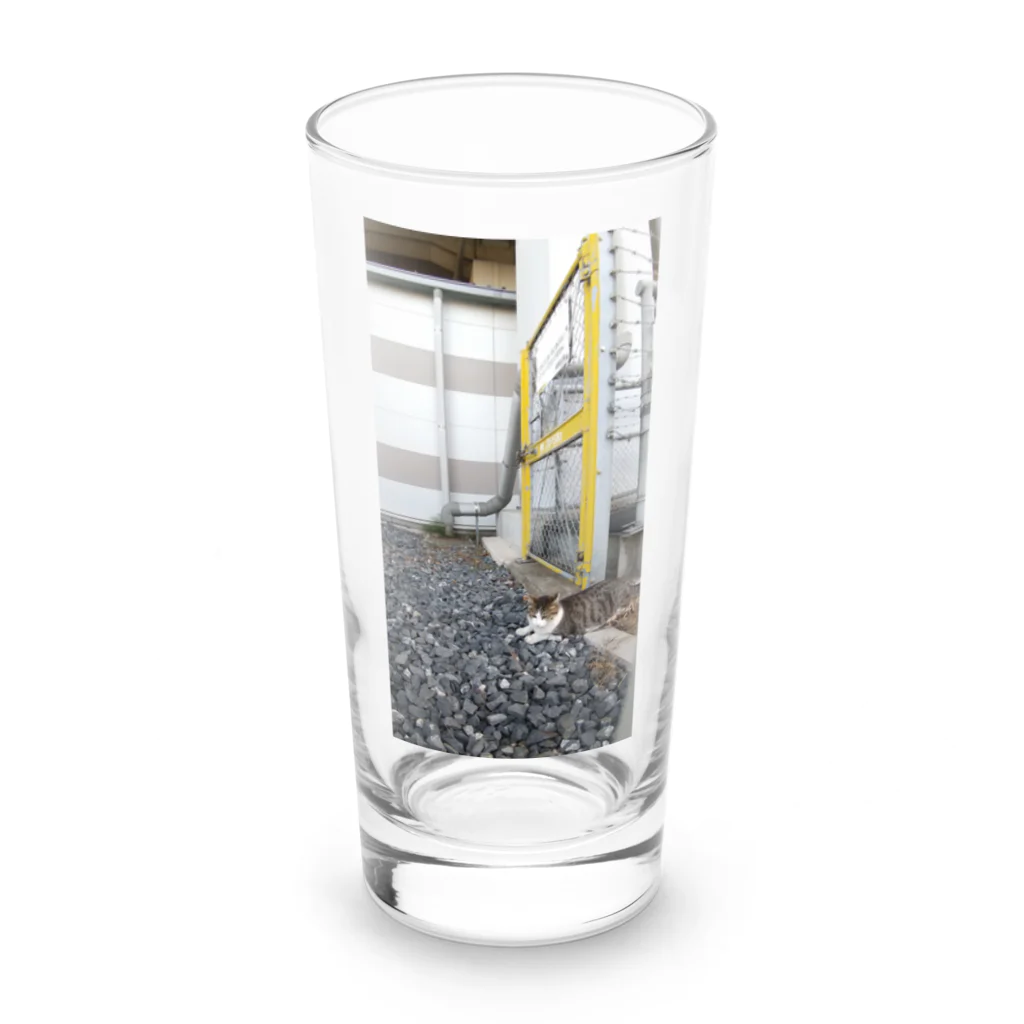 ながしっぽ from.さくらねこの家のながしっぽ　type.D Long Sized Water Glass :front