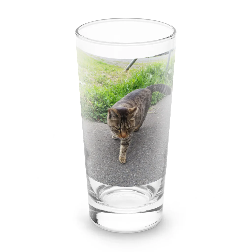 ながしっぽ from.さくらねこの家のとらちゃん　type.D Long Sized Water Glass :front