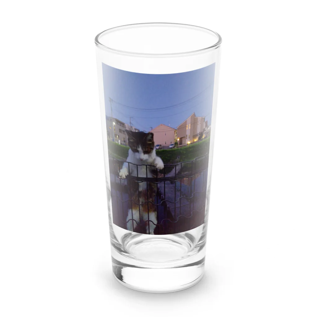 ながしっぽ from.さくらねこの家のながしっぽ　type.H Long Sized Water Glass :front