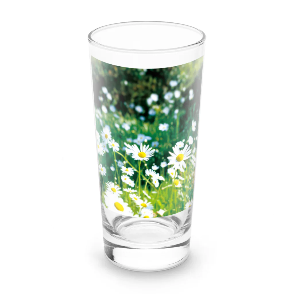 akane_art（茜音工房）の癒しの風景（シャスタデイジー） Long Sized Water Glass :front