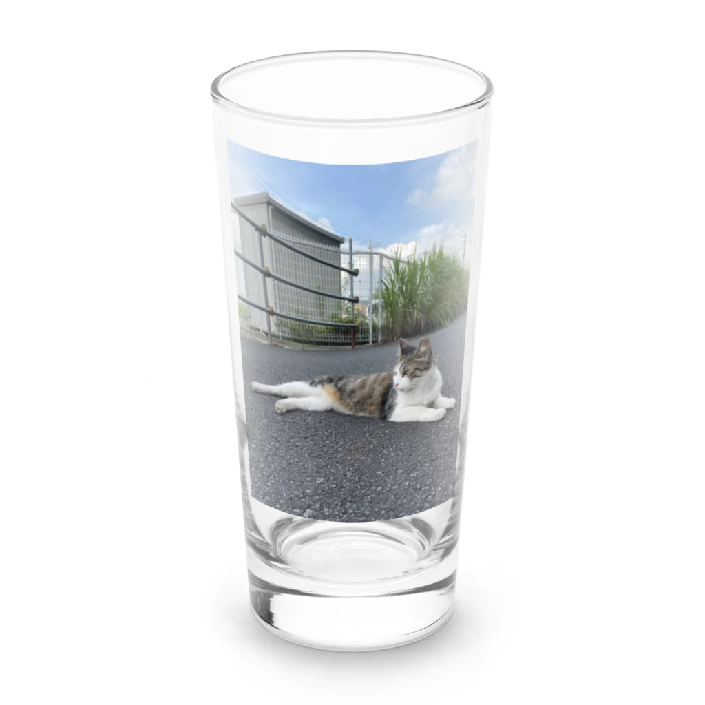 ながしっぽ from.さくらねこの家のながしっぽ　type．Ｉ Long Sized Water Glass :front