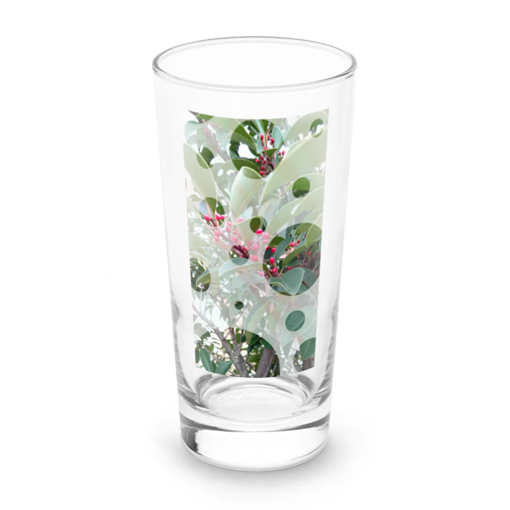 Lily bird（リリーバード）のピラカンサス？photo 縦長 Long Sized Water Glass :front