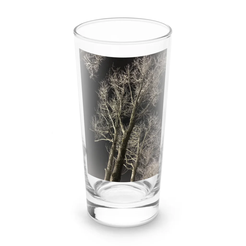 空屋　sorayakusakaの202001121944000　夜の樹木 Long Sized Water Glass :front