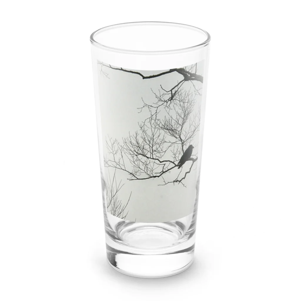 空屋　sorayakusakaの202012300958002　寒烏 Long Sized Water Glass :front