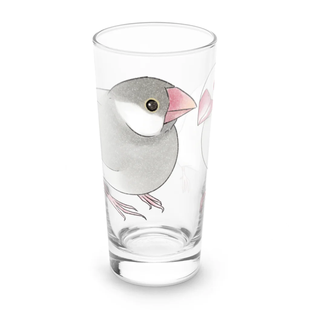 まめるりはことりの幸せ文鳥ちゃん【まめるりはことり】 Long Sized Water Glass :front