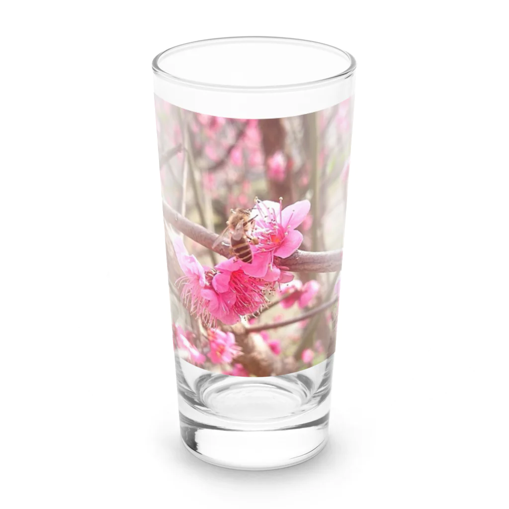 モノウサワールドの小さな世界の住人② Long Sized Water Glass :front