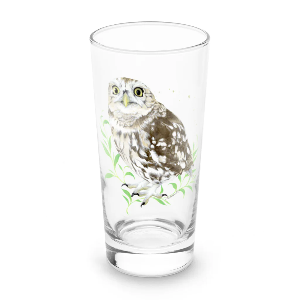 北山紫仙(Shisen's SHOP)のコキンメフクロウさん Long Sized Water Glass :front