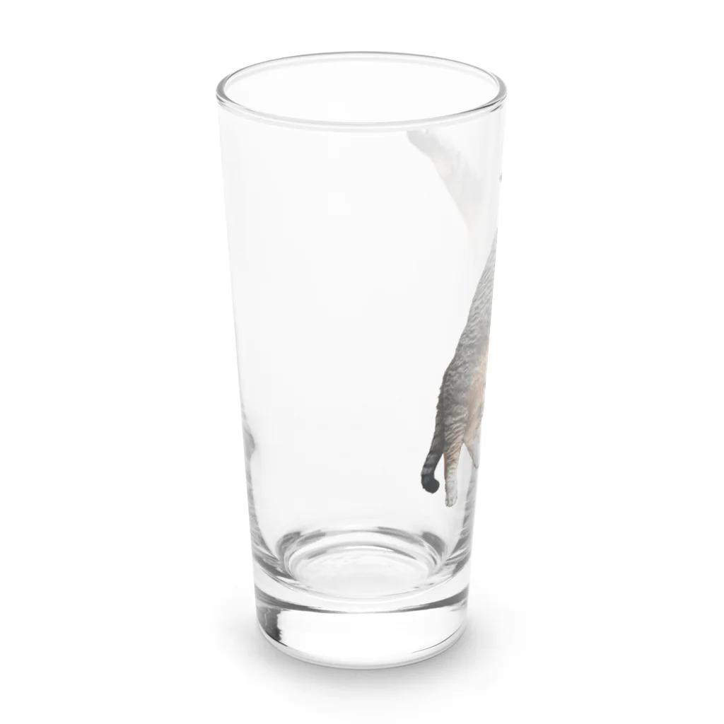 城ののびのびまるぴ Long Sized Water Glass :left