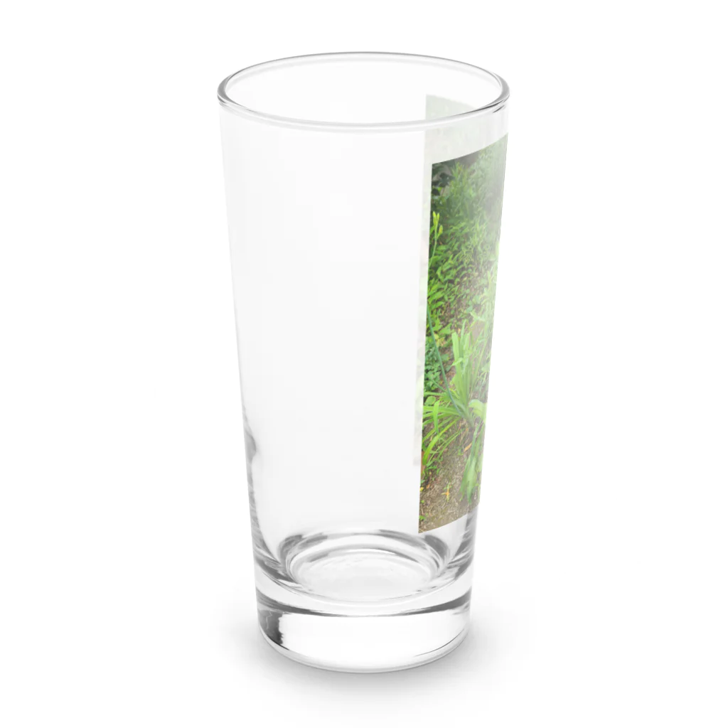 東綬のノカンゾウ Long Sized Water Glass :left