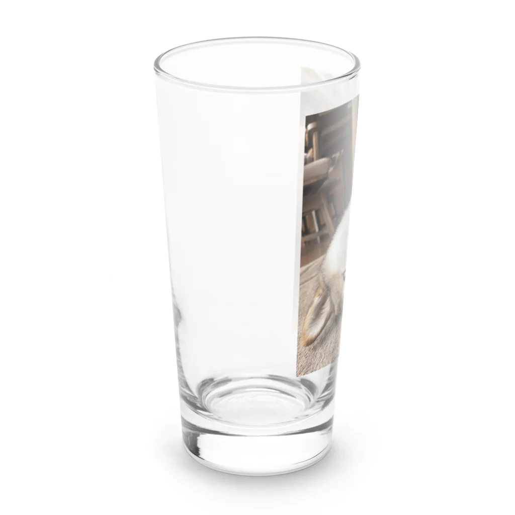 hyogo3000のMugi is Tanuki Long Sized Water Glass :left