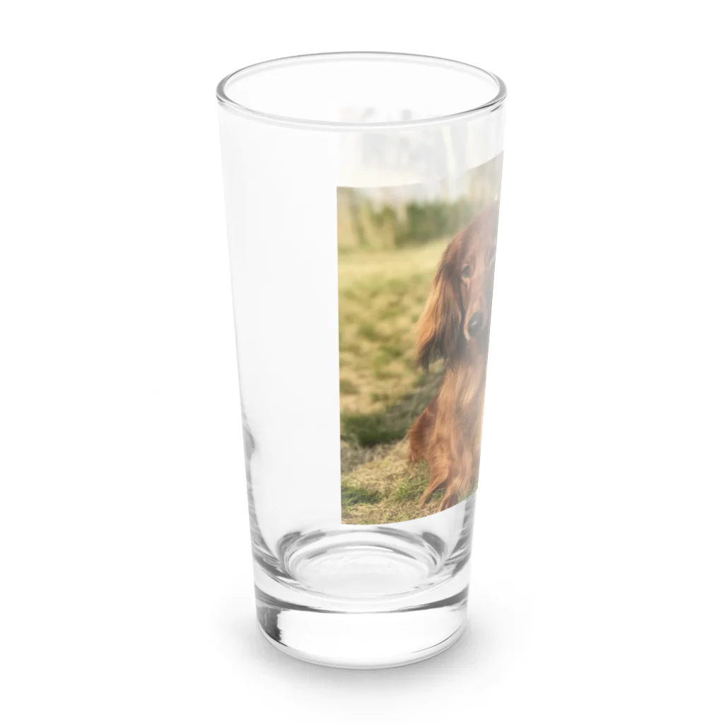 ドッグハウスベティのスタンダードダックス兄妹 Long Sized Water Glass :left