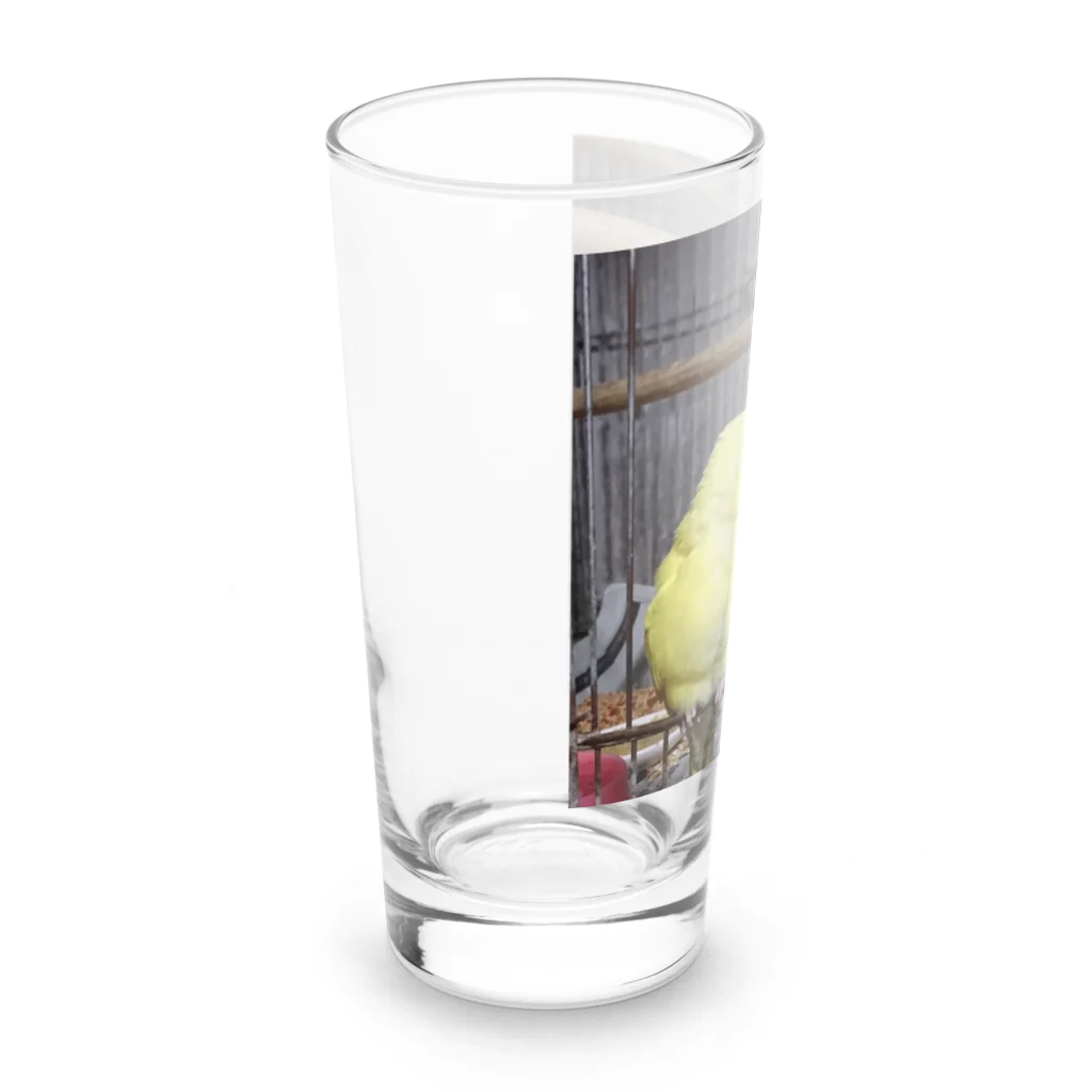 ayumi(元接客業、今は専業主婦)🇺🇦のレモンとあおちゃん Long Sized Water Glass :left