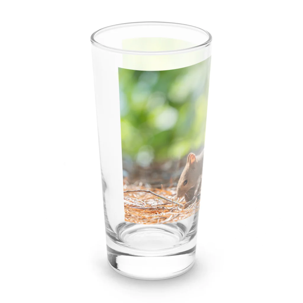 北海道アニマルグッズの元気いっぱいのエゾリス！ Long Sized Water Glass :left