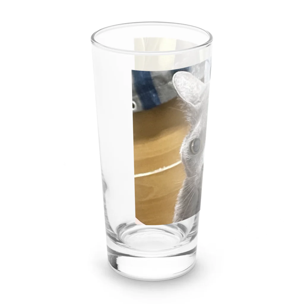 あこの実家の猫 Long Sized Water Glass :left