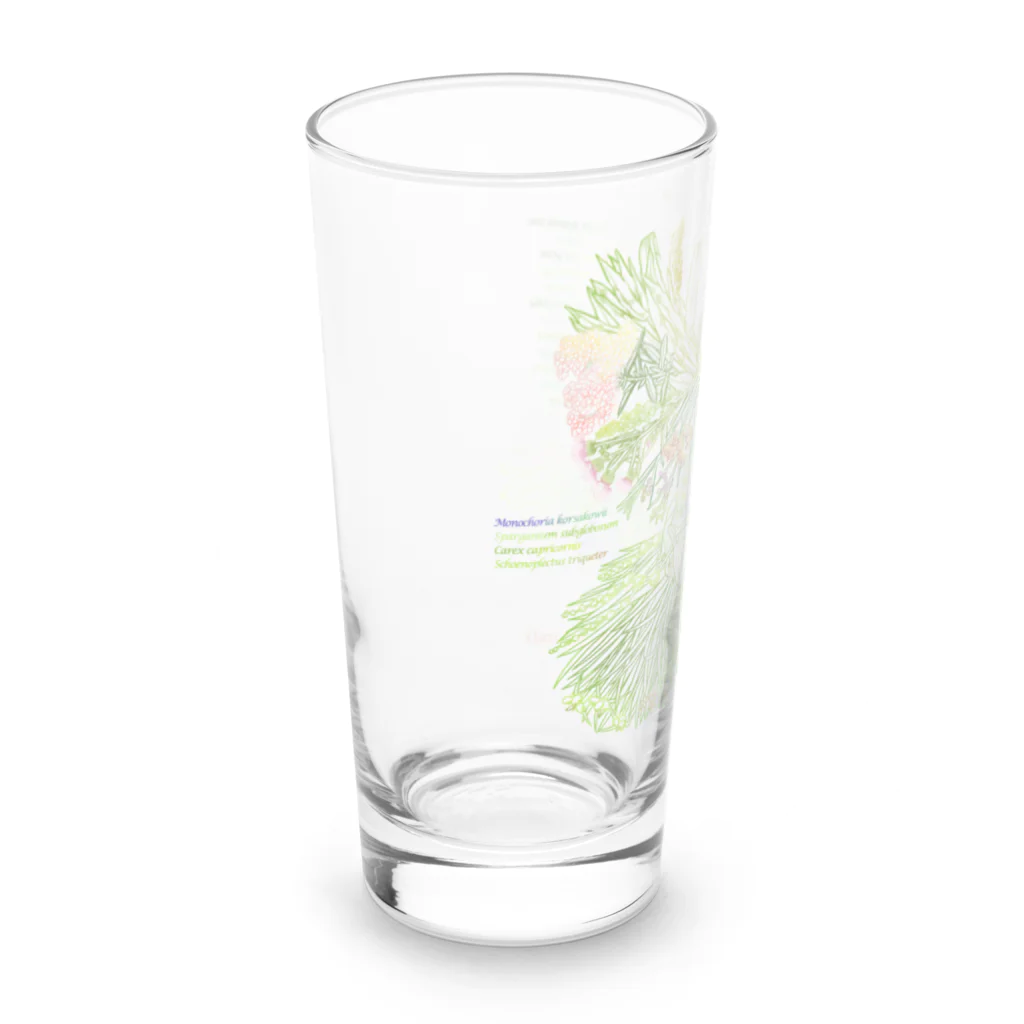 雁花工房（寄付アイテム販売中です）のWild plants of HOTOKENUMA-wetlands（色付き） Long Sized Water Glass :left