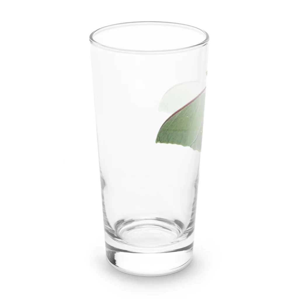 たまぴゃのオナガミズアオ Long Sized Water Glass :left