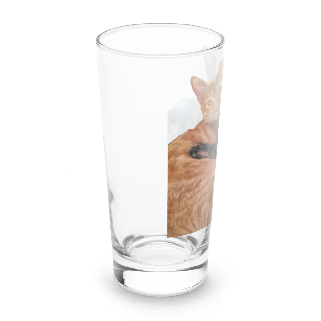 結社黒猫の猫LOVE Long Sized Water Glass :left