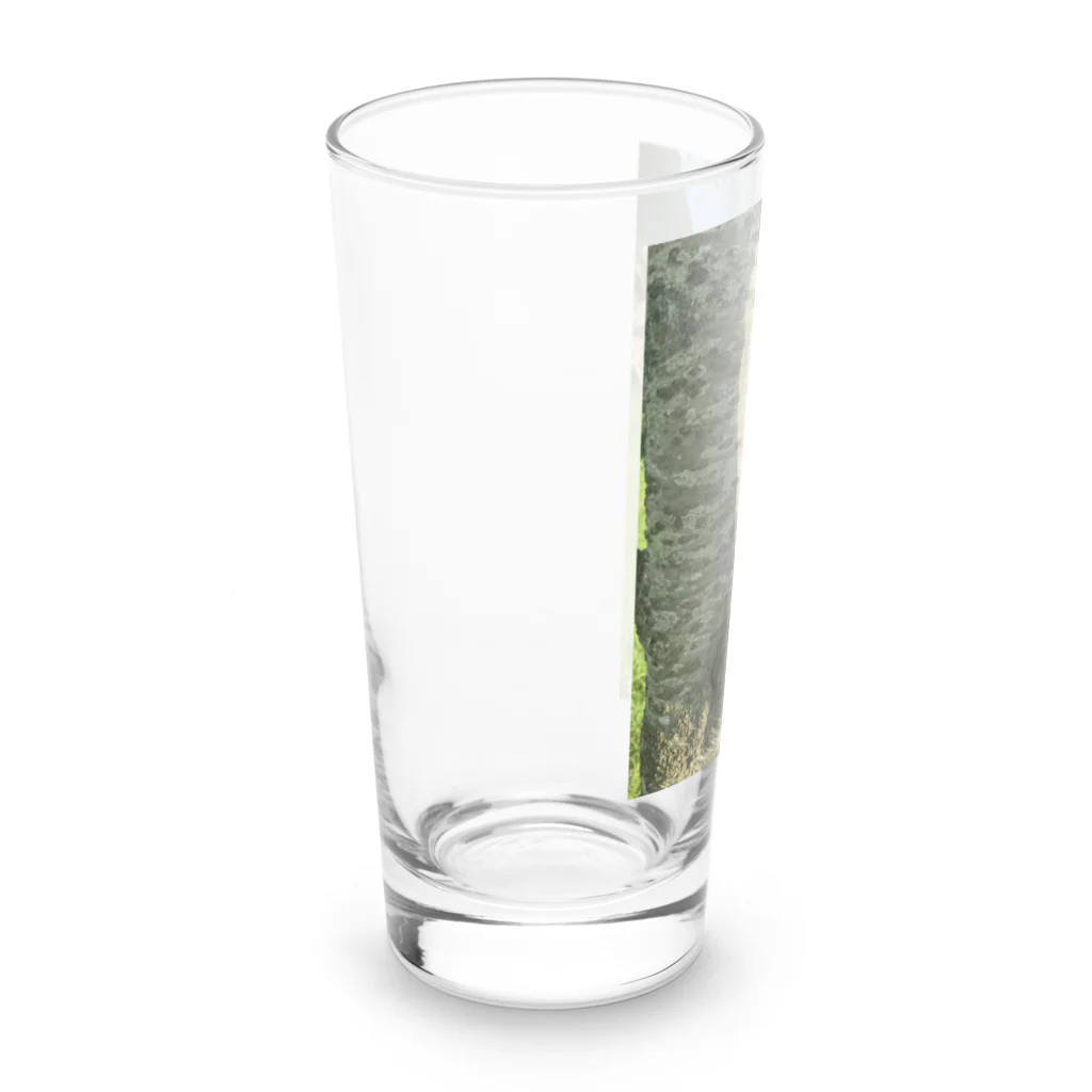 HIROMI10のニイニイゼミ Long Sized Water Glass :left