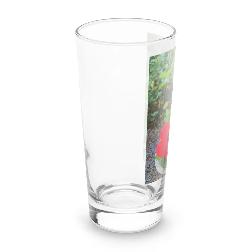 東綬のハイビスカス🌺ペア Long Sized Water Glass :left