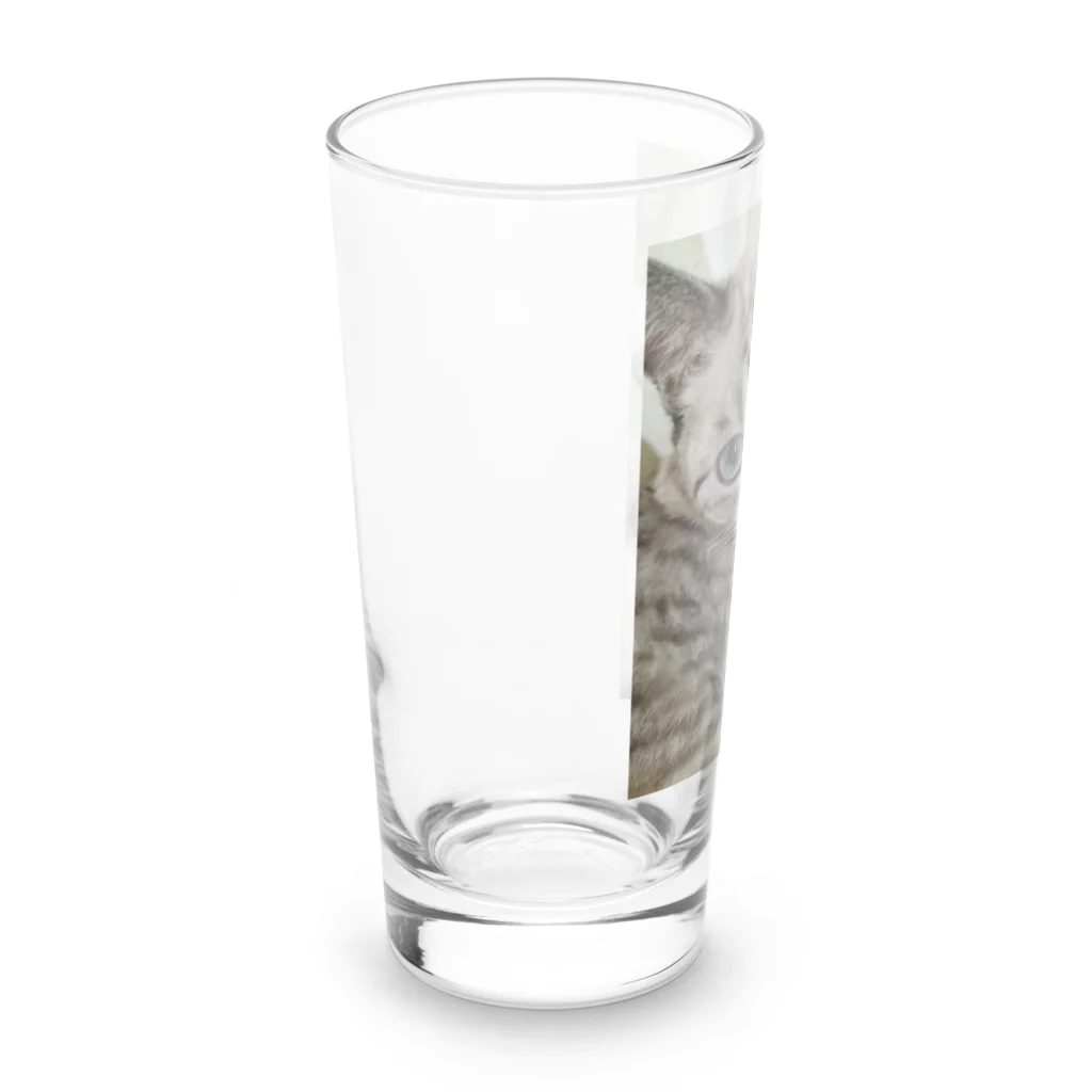 ねこの森でお散歩のフッワフワのシャムミックス Long Sized Water Glass :left