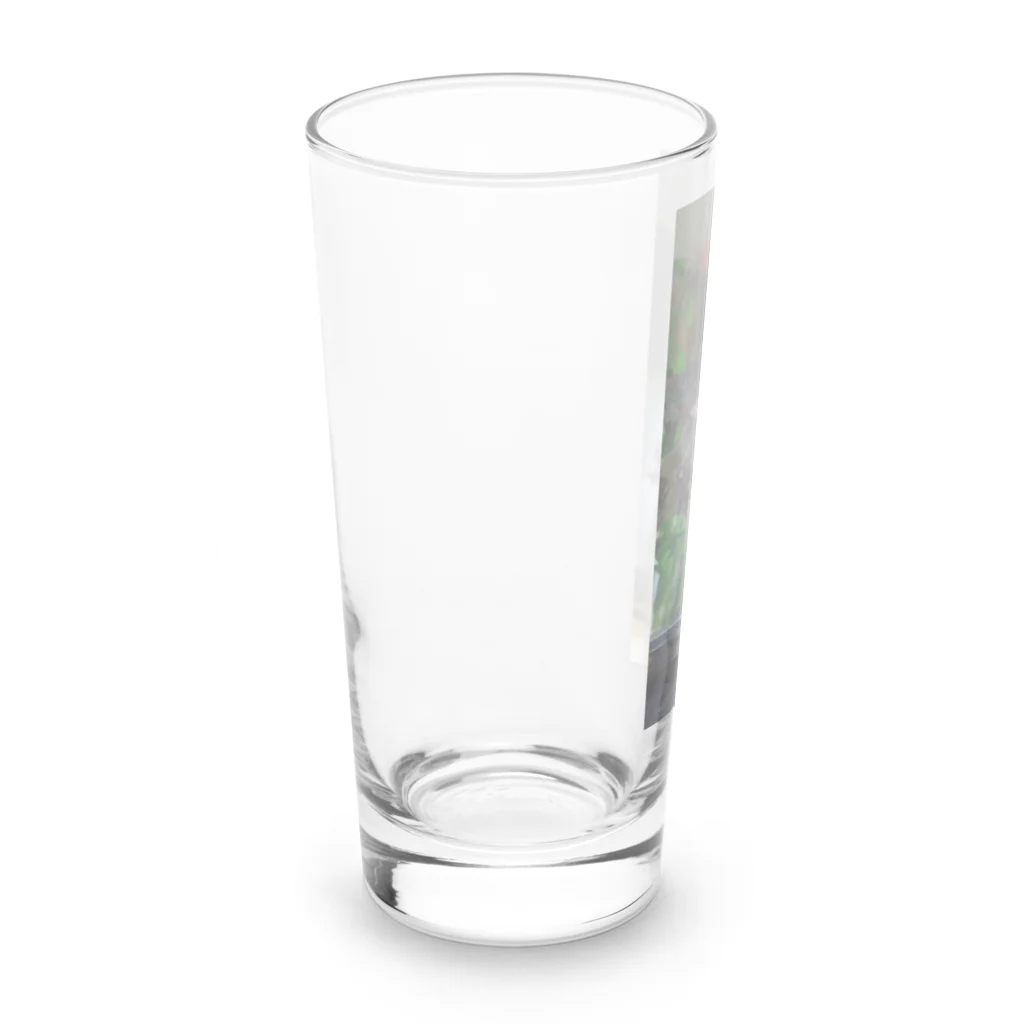 sorasora-のウーパールーパー　仲良しコンビ Long Sized Water Glass :left