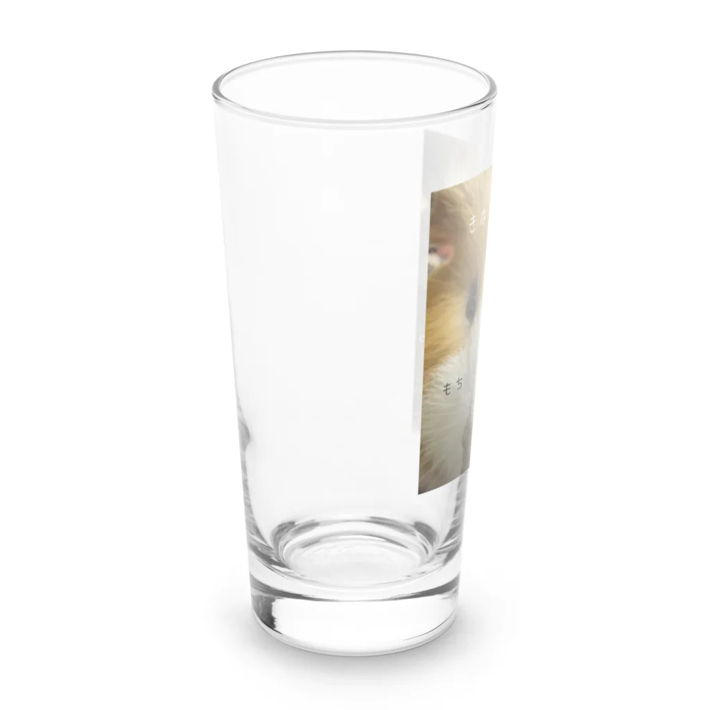 わらびーズもるもるハウスのわらびシリーズ）主原料 Long Sized Water Glass :left