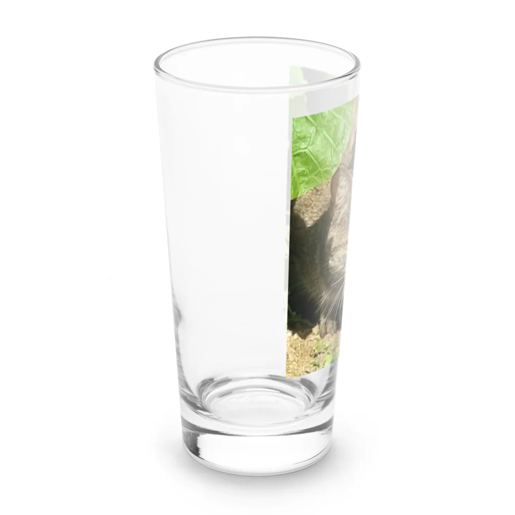 くまくま農園の野生の雉虎 Long Sized Water Glass :left