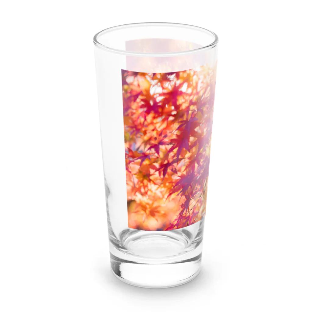 最終進化的量産型良のオレンジノコウヨウ Long Sized Water Glass :left