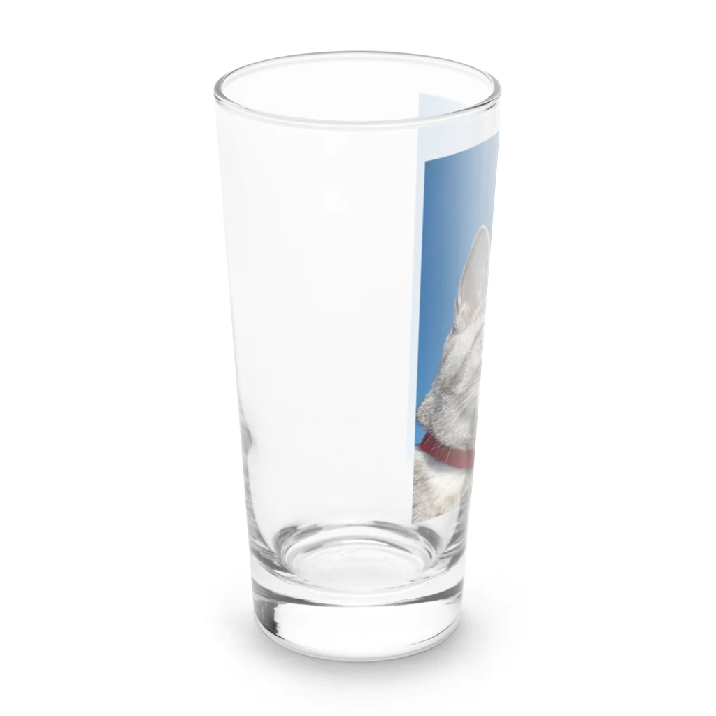 棕櫚竹工房の青空にゃんこ Long Sized Water Glass :left