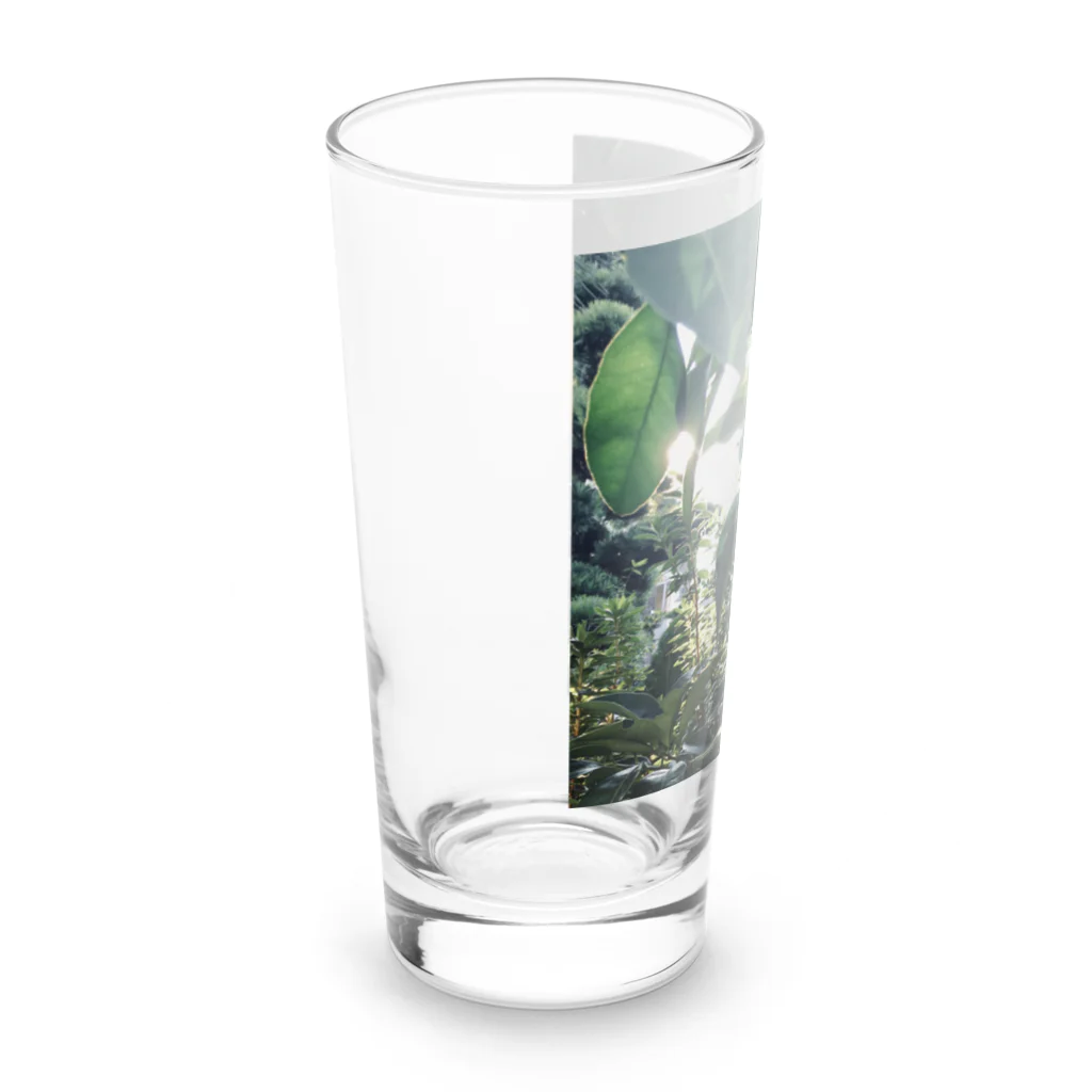 どーなつの柑橘系 Long Sized Water Glass :left