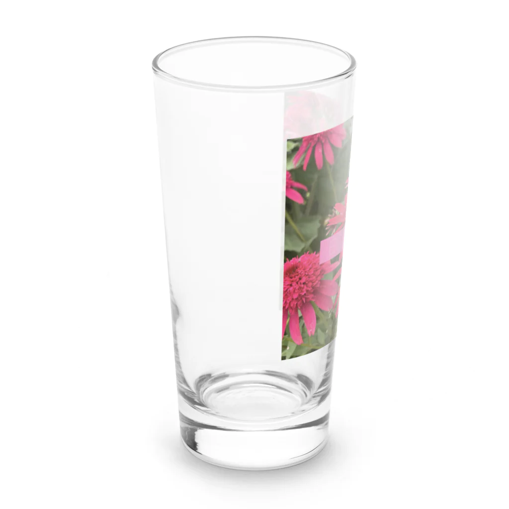 Scented Gardenのエキナセア Long Sized Water Glass :left