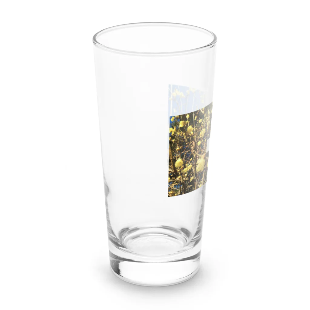 Scented Gardenの蝋梅 Long Sized Water Glass :left