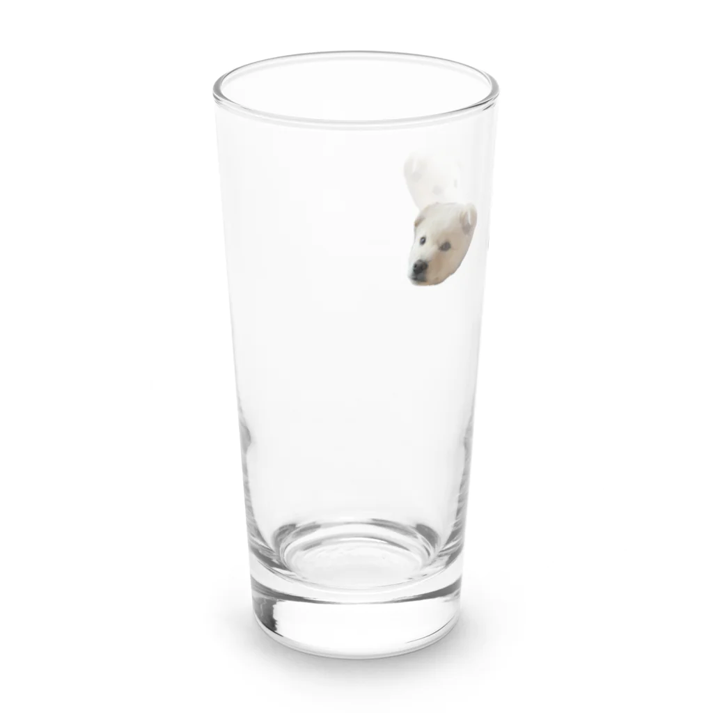 ゴンのいぬ 3連 Long Sized Water Glass :left