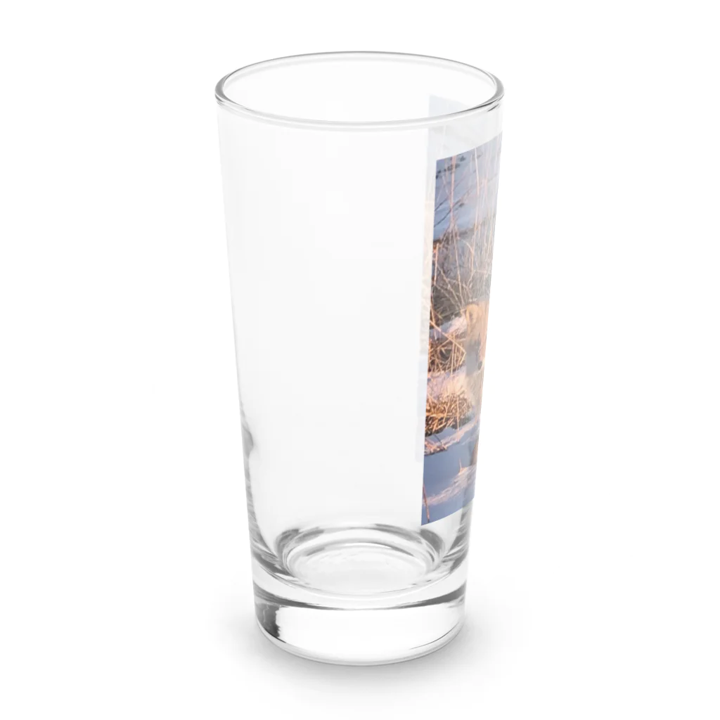 空屋　sorayakusakaの202201010715000　朝日の中のキタキツネ Long Sized Water Glass :left